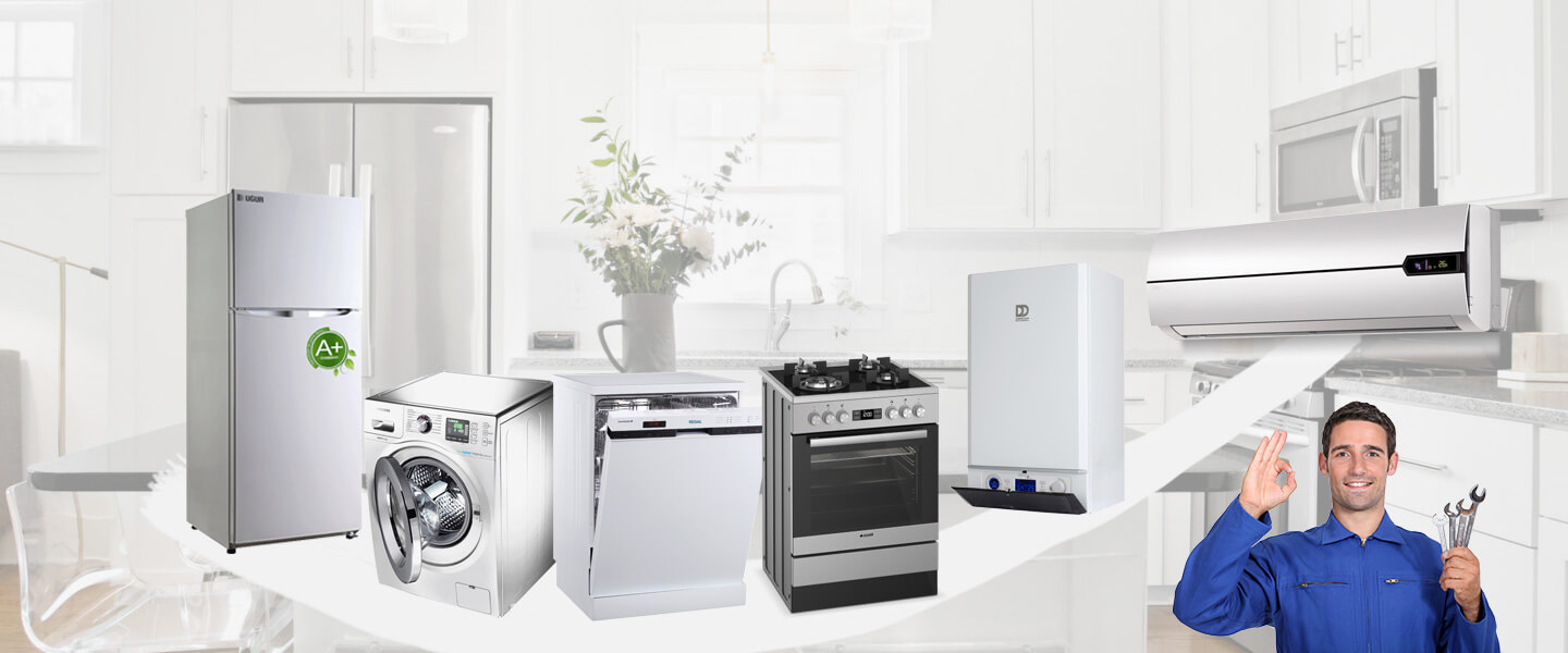 Çınarcık Warmhaus Servisi